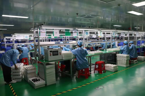 2025年?yáng)|莞民營(yíng)企業(yè)家日丨虎門(mén)青年企業(yè)家走訪標(biāo)桿企業(yè) 社會(huì)經(jīng)濟(jì)咨詢(xún)服務(wù)